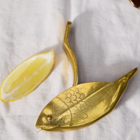 Here's How The Stevie Fish Citrus Juicer - Picture 1 of 4